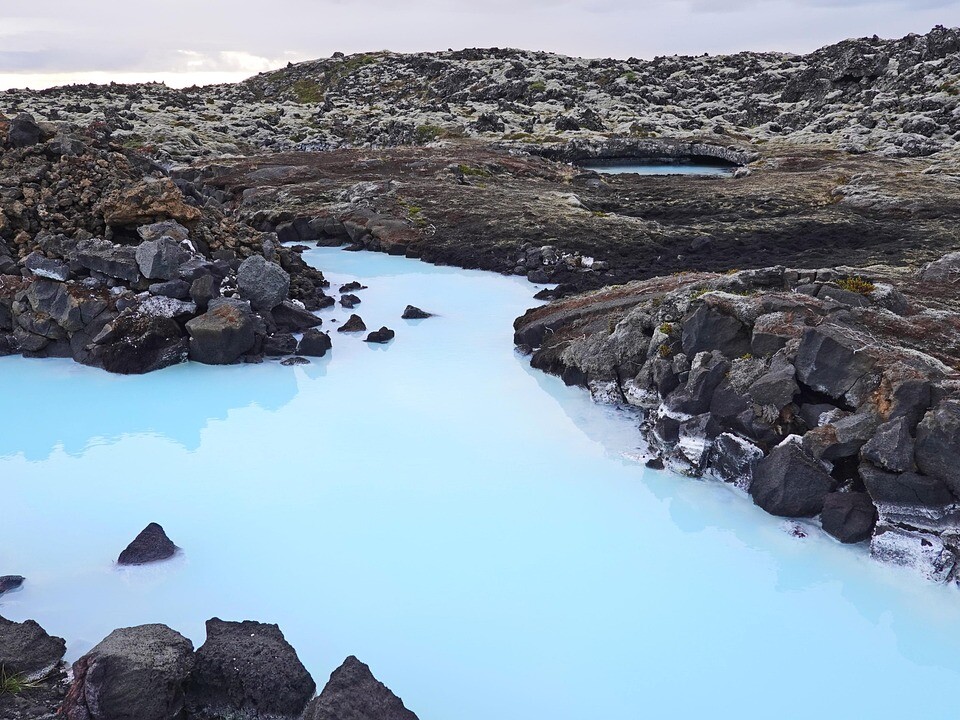 blue lagoon iceland mice